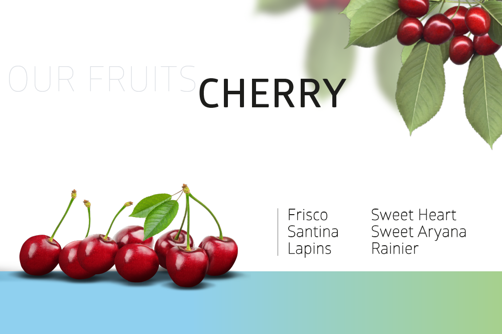 Cherry