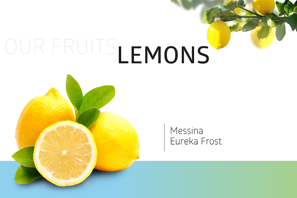Lemons