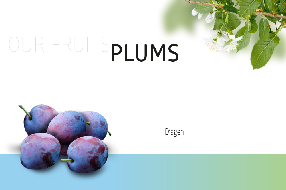 Plums