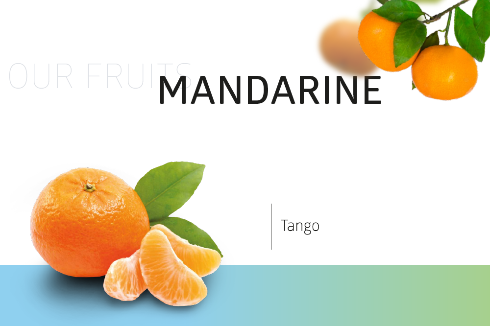 Tangerine